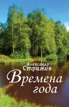 Александр Стрижев Времена года обложка книги