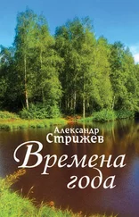 Александр Стрижев - Времена года