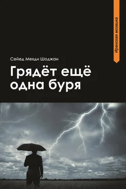 Сейед Мехди Шоджаи Грядет еще одна буря обложка книги