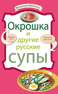 Denis Окрошка и другие русские супы обложка книги