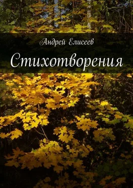 Андрей Елисеев Стихотворения обложка книги