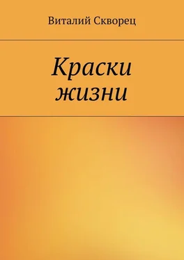 Виталий Скворец Краски жизни обложка книги