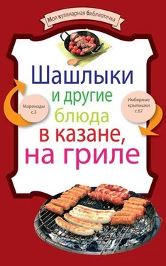 Неизвестный Автор Шашлыки и другие блюда в казане, на гриле обложка книги