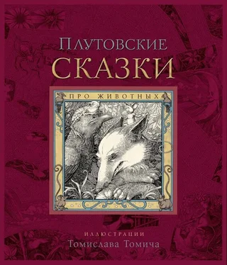 Народное творчество Плутовские сказки про животных обложка книги