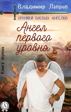 Владимир Лавров Книга первая. Ангел первого уровня обложка книги