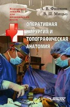 Анатолий Фишкин Оперативная хирургия и топографическая анатомия: конспект лекций для вузов обложка книги