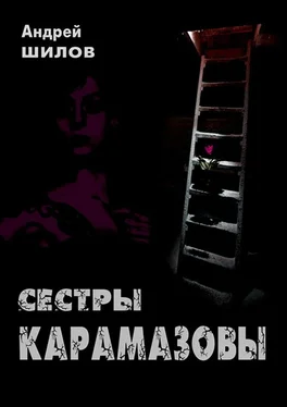 Андрей Шилов Сестры Карамазовы обложка книги