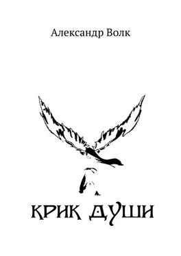 Александр Волк Крик души обложка книги