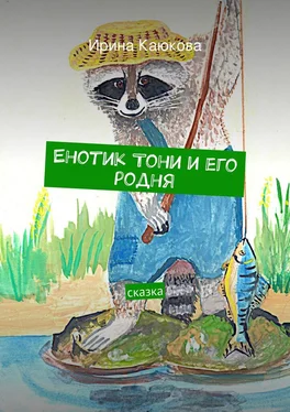 Ирина Каюкова Енотик Тони и его родня обложка книги