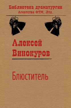 Алексей Винокуров Блюститель обложка книги