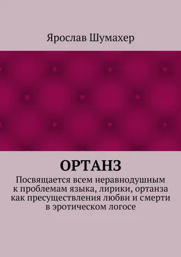 Ярослав Шумахер Ортанз обложка книги