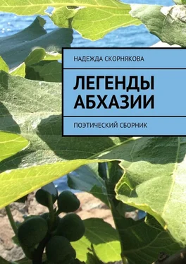 Надежда Скорнякова Легенды Абхазии обложка книги