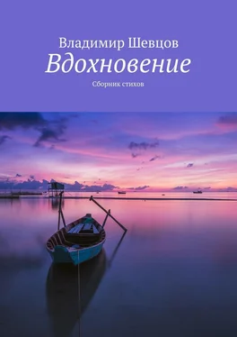 Владимир Шевцов Вдохновение обложка книги