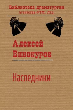 Алексей Винокуров Наследники обложка книги