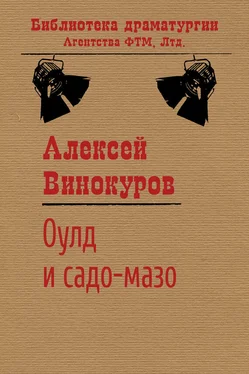 Алексей Винокуров Оулд и садо-мазо обложка книги