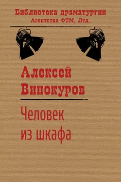 Алексей Винокуров Человек из шкафа обложка книги