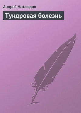 Андрей Неклюдов Тундровая болезнь обложка книги