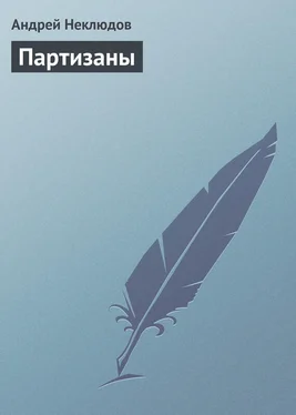 Андрей Неклюдов Партизаны обложка книги