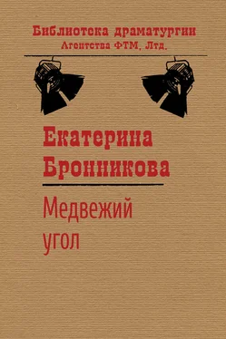 Екатерина Бронникова Медвежий угол обложка книги