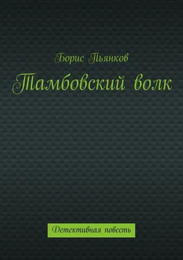 Борис Пьянков Тамбовский волк обложка книги