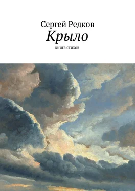 Сергей Редков Крыло обложка книги