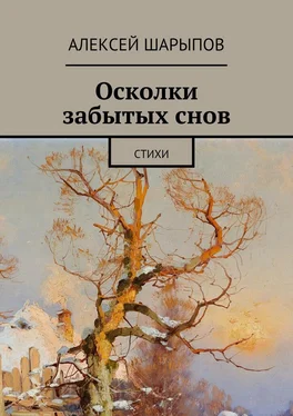 Алексей Шарыпов Осколки забытых снов обложка книги