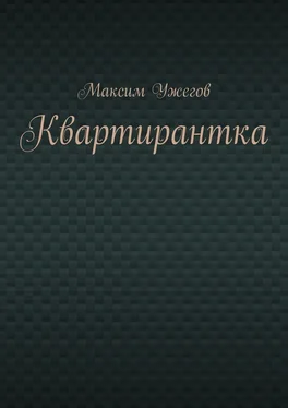 Максим Ужегов Квартирантка обложка книги