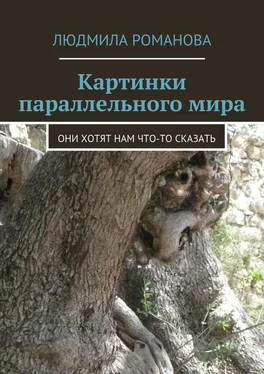 Людмила Романова Картинки параллельного мира обложка книги