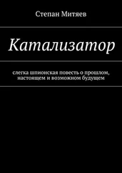 Степан Митяев - Катализатор