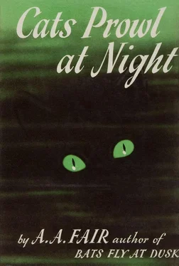 A. Fair Cats Prowl at Night обложка книги