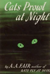 A. Fair - Cats Prowl at Night