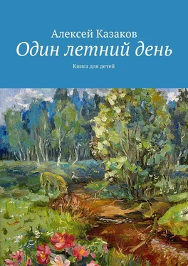 Алексей Казаков Один летний день обложка книги