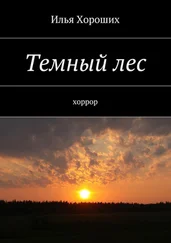 Илья Хороших - Темный лес