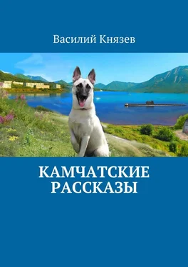 Василий Князев Камчатские рассказы обложка книги