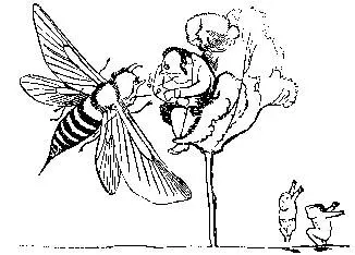 There was an Old Man in a tree Who was horribly bored by a Bee When they - фото 22