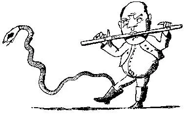 There was an Old Man with a flute A sarpint ran into his boot But he played - фото 24