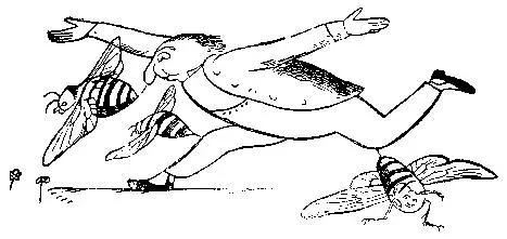 There was an Old Person of Dover Who rushed through a field of blue Clover - фото 70