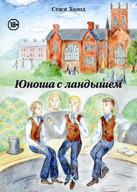 Стася Холод Юноша с ландышем (сборник) обложка книги