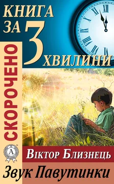 Тетяна Бебік Переказ твору Віктора Близнеця «Звук Павутинки» обложка книги