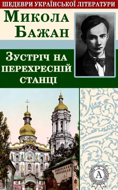 Микола Бажан Зустріч на перехресній станції обложка книги