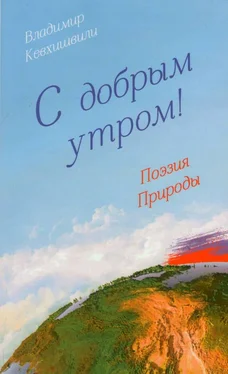 Владимир Кевхишвили С добрым утром! Поэзия Природы обложка книги