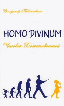 Владимир Кевхишвили Homo Divinum. Человек Божественный обложка книги