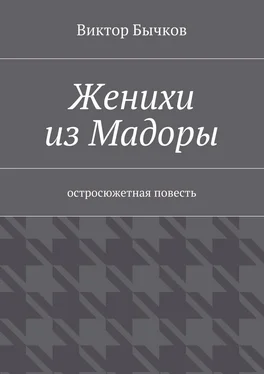 Виктор Бычков Женихи из Мадоры обложка книги