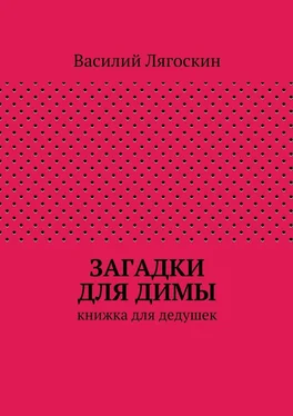 Василий Лягоскин Загадки для Димы обложка книги