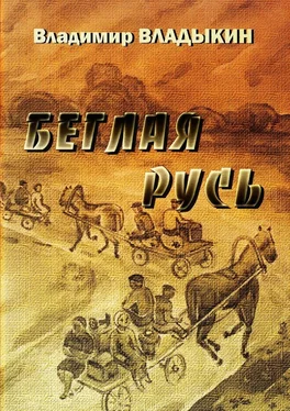 Владимир Владыкин Беглая Русь обложка книги