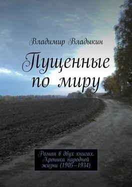 Владимир Владыкин Пущенные по миру обложка книги