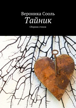 Вероника Сооль Тайник обложка книги