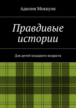 Адилия Моккули Правдивые истории обложка книги