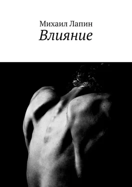 Михаил Лапин Влияние обложка книги