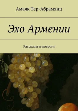 Амаяк Tер-Абрамянц Эхо Армении обложка книги